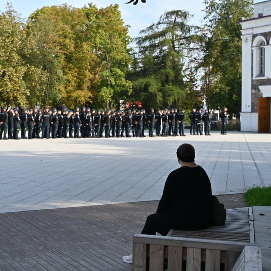 Iliustracija