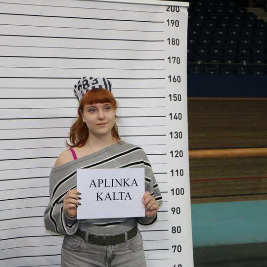 Iliustracija