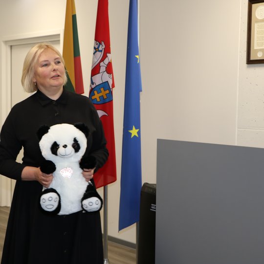 Iliustracija