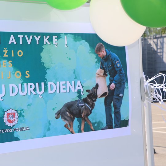 Iliustracija